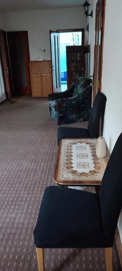Casa Rebeca Hotel Orşova Eksteriør billede